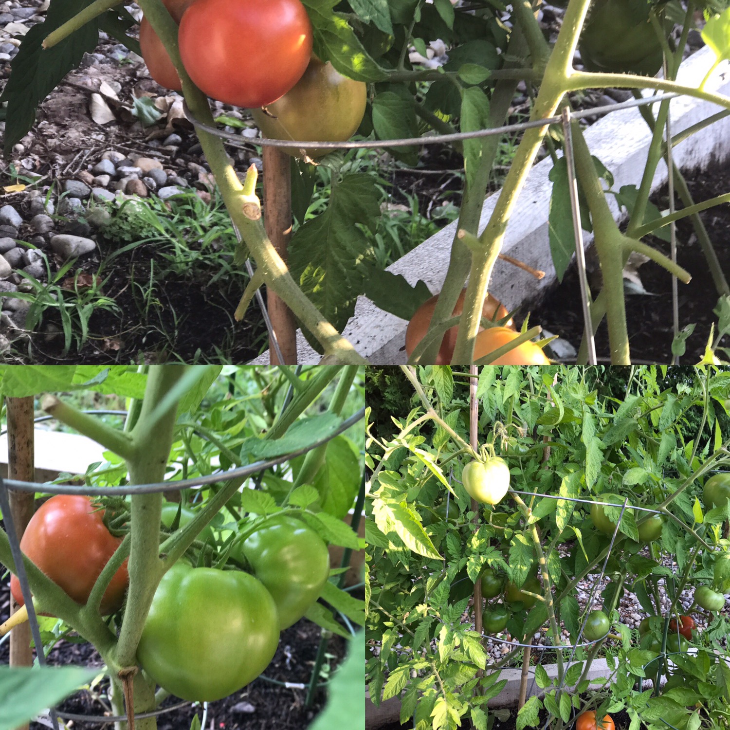 9fa49d9c-0834-4fe4-b2be-c279c5875f41